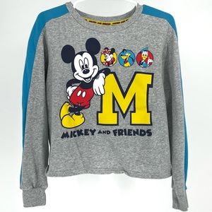 DISNEY PARKS NEW MICKEY AND FRIENDS PULLOVER LONG SLEEVE GRAPHIC SWEATSHIRT GRAY